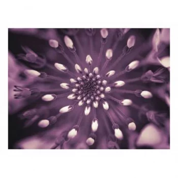 Картина (40х30 см) Дикий цветок SE-102-190